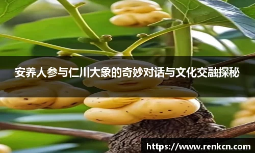 红果体育安养人参与仁川大象的奇妙对话与文化交融探秘